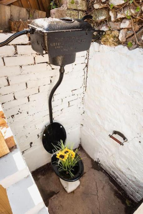 *Brand New* Lemon Tree Cottage Torquay Buitenkant foto